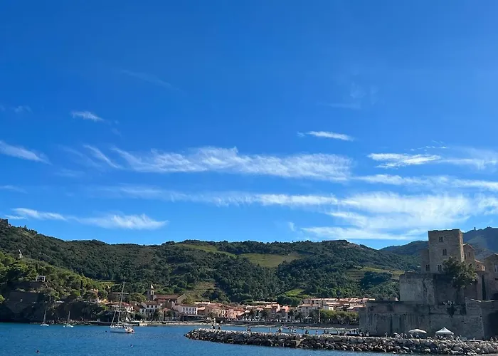 Restaurant Les Paquebots Port Vendres